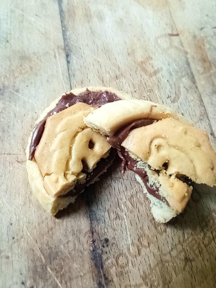 MERVEILLES DU  MONDE - Tartelettes Pâte à tartiner cacao & noisettes morceau
