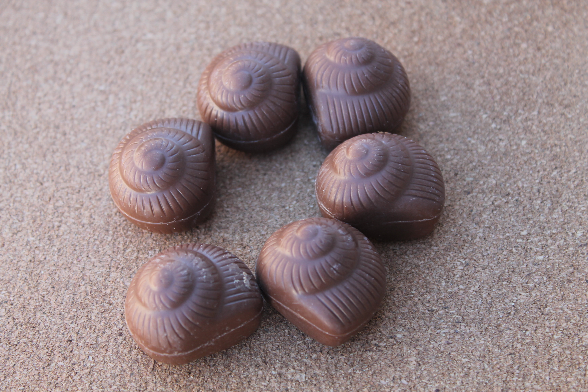 FAVORINA – Escargots Praliné Chocolat au lait aspect 