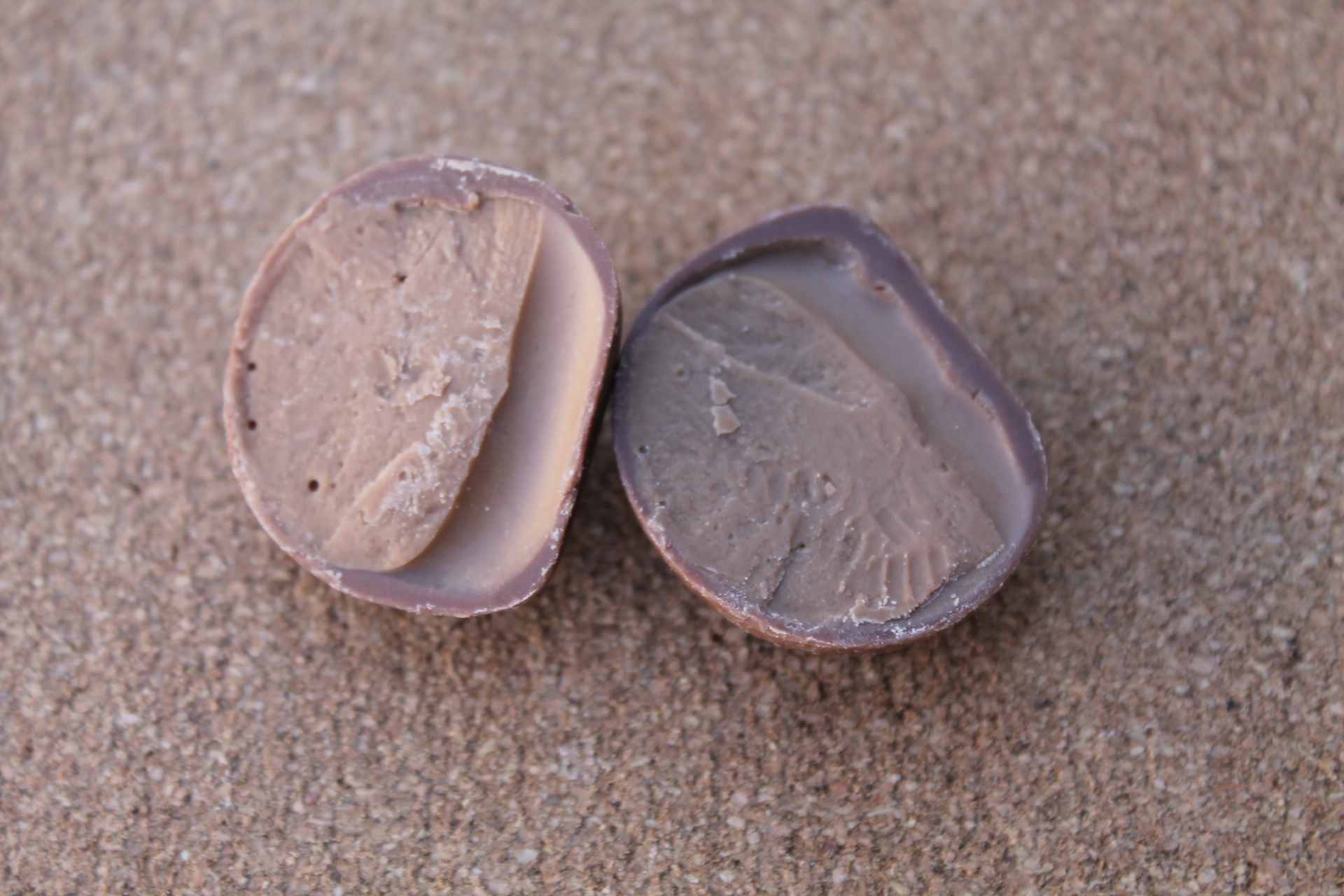 FAVORINA – Escargots Praliné Chocolat au lait détail 