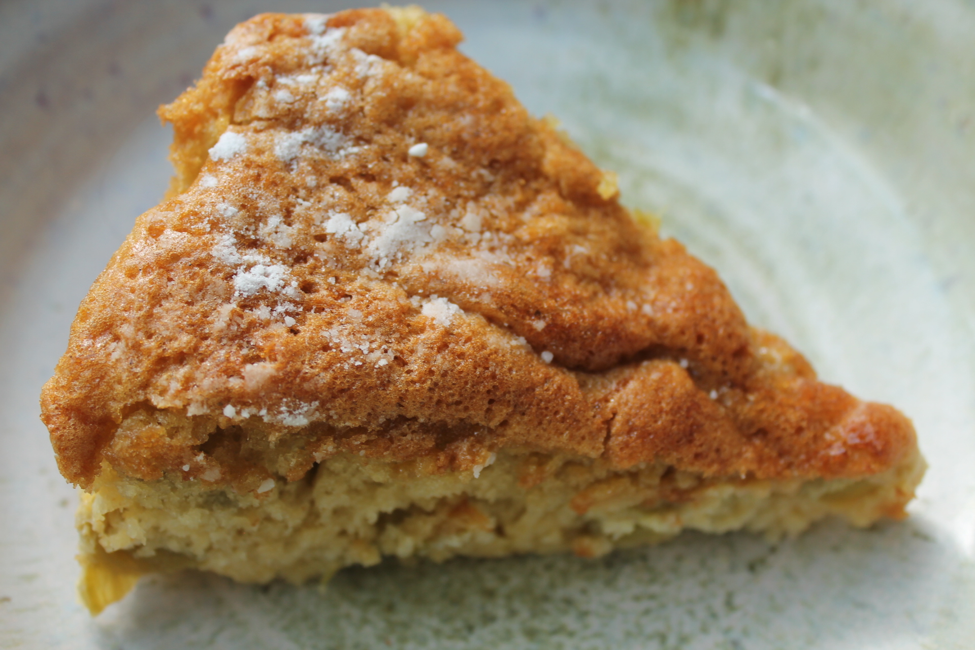 KAT DES BOIS – Gâteau ultra léger à la rhubarbe (sharlotka) aspect