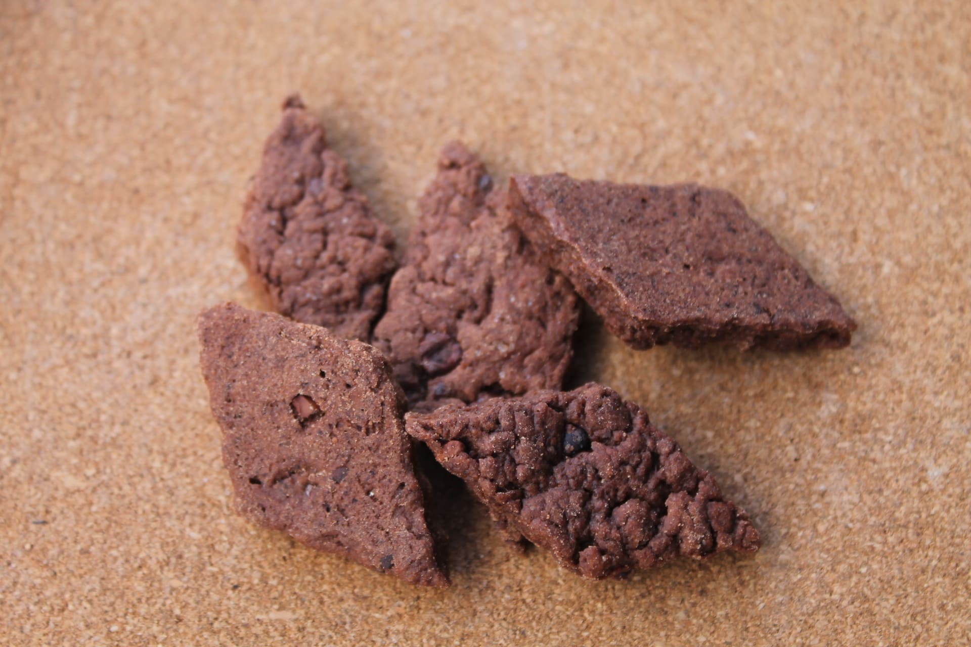 BEAN BAR CHOC / MASSIMO BISCUITS – Biscuits Canis Cacao aspect
