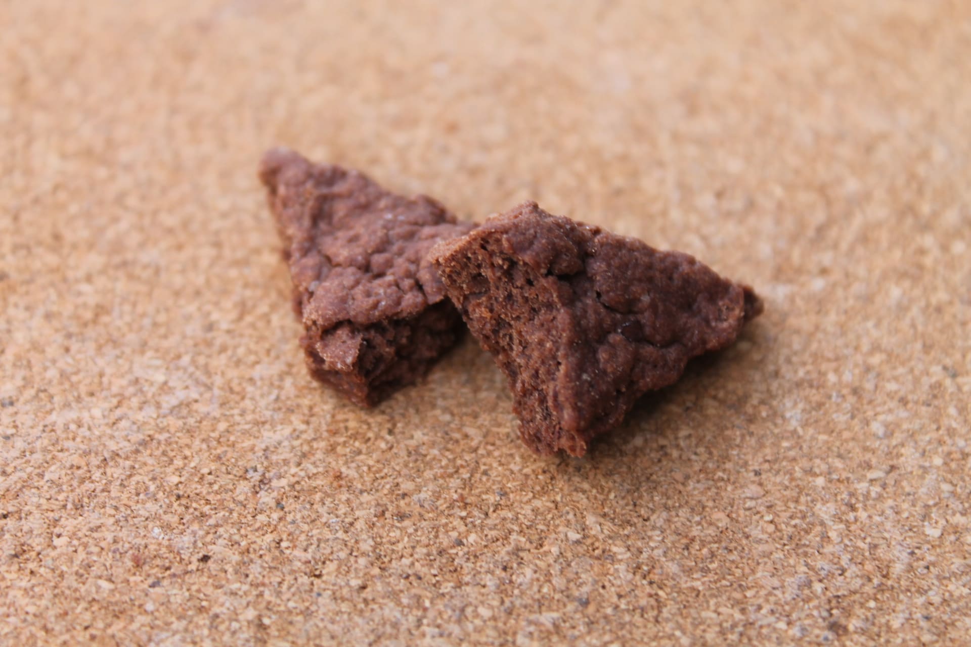 BEAN BAR CHOC / MASSIMO BISCUITS – Biscuits Canis Cacao détail