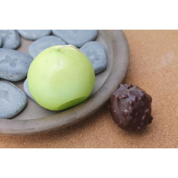 CHOCOLATERIE BERTON – Rocher Noir 