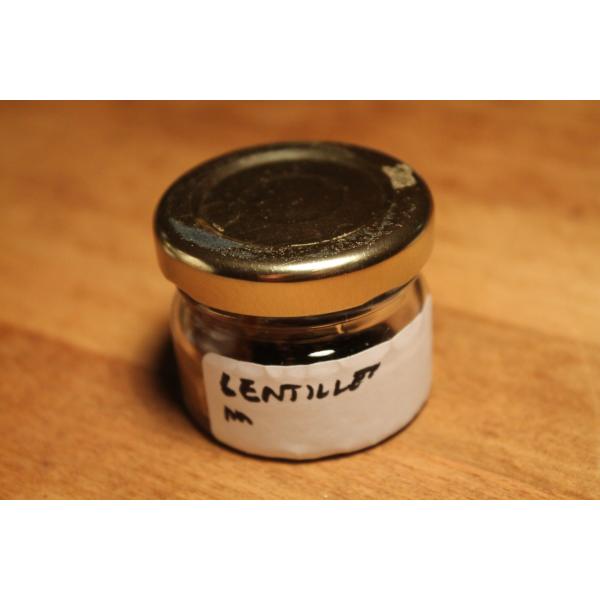 LA MUTINERIE - Praliné de lentilles vertes 